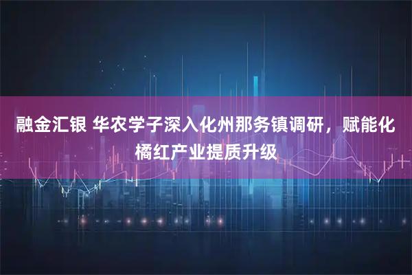 融金汇银 华农学子深入化州那务镇调研，赋能化橘红产业提质升级